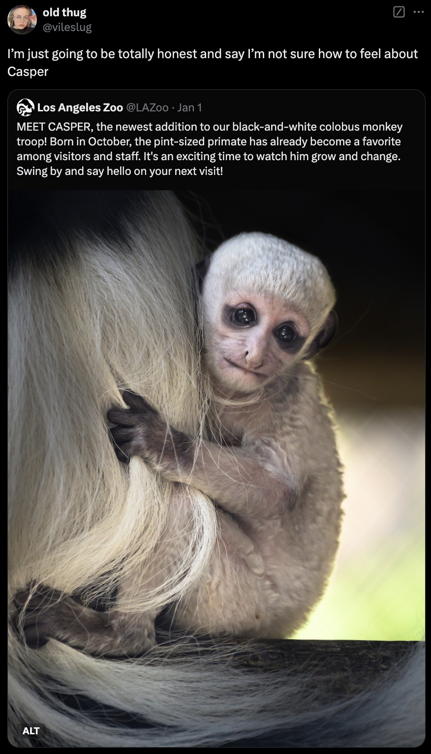 titi - old thug I'm just going to be totally honest and say I'm not sure how to feel about Casper Los Angeles Zoo . Jan 1 Meet Casper, the newest addition to our blackandwhite colobus monkey troop! Born in October, the pintsized primate has already become